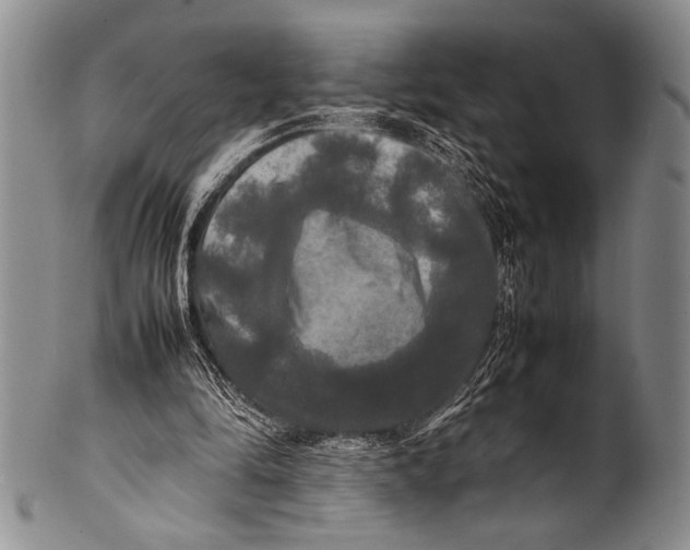 X0000100310294200806261209