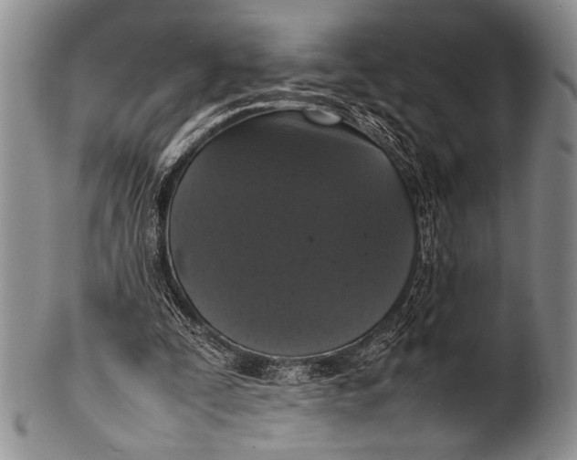 X0000100310295200806261209