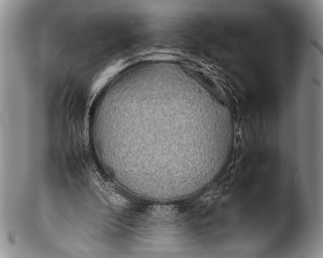 X0000100310296200806261209