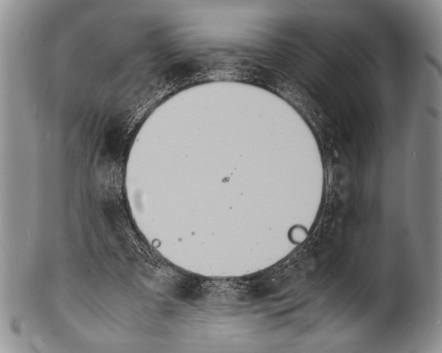 X0000100310297200806261209