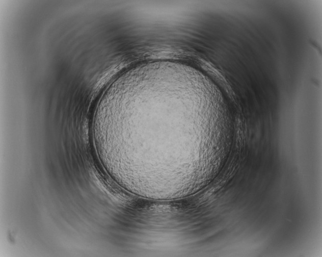 X0000100310298200806261209