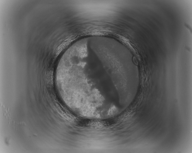 X0000100310299200806261209