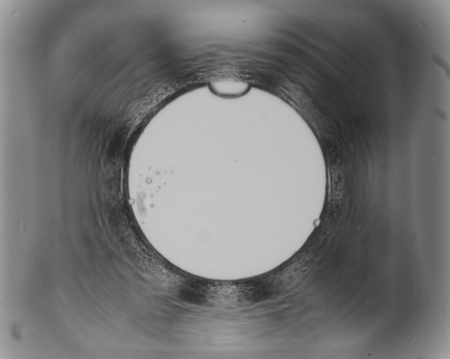 X0000100310301200806261208