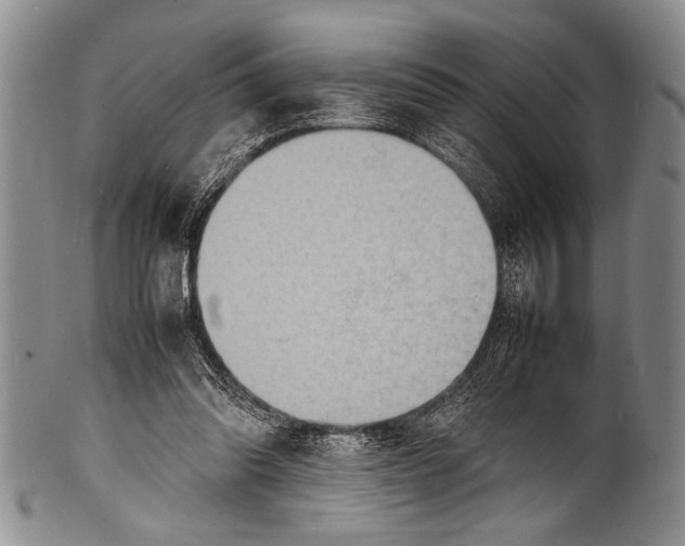 X0000100310302200806261208