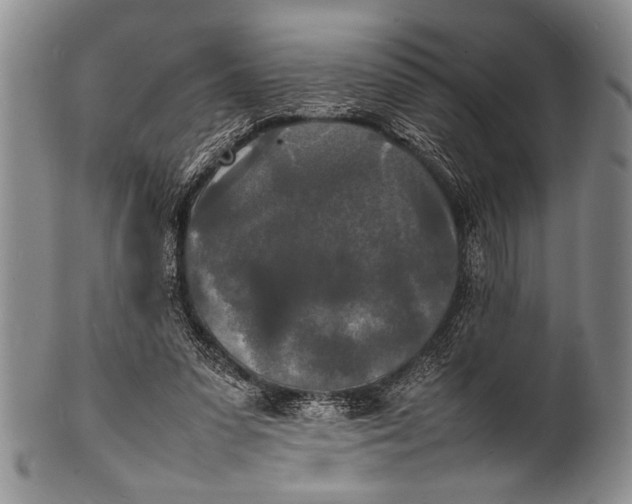 X0000100310303200806261208