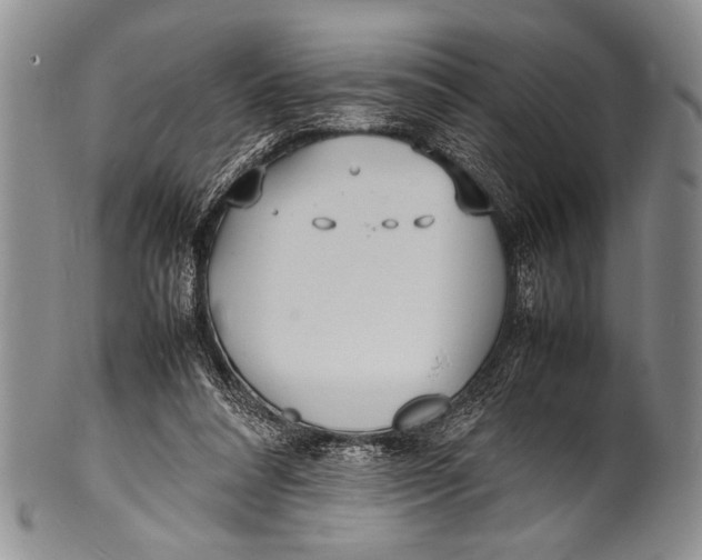 X0000100310304200806261208