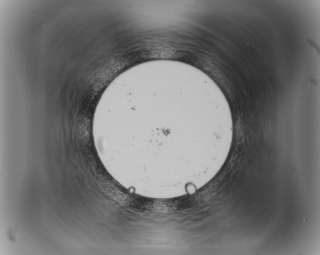 X0000100310305200806261208