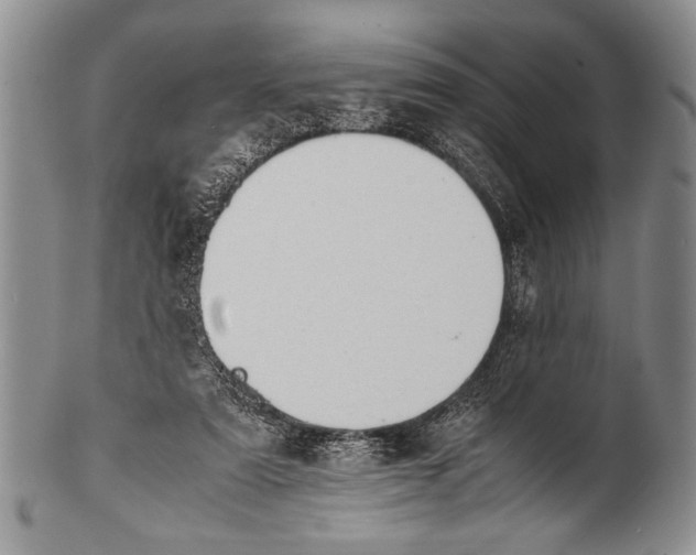 X0000100310307200806261208