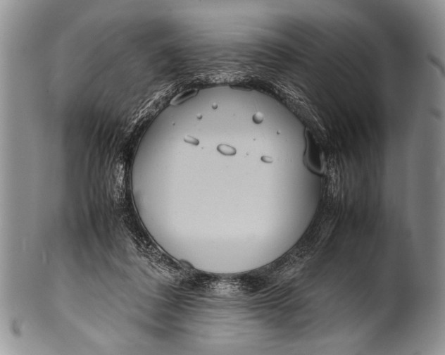 X0000100310308200806261208