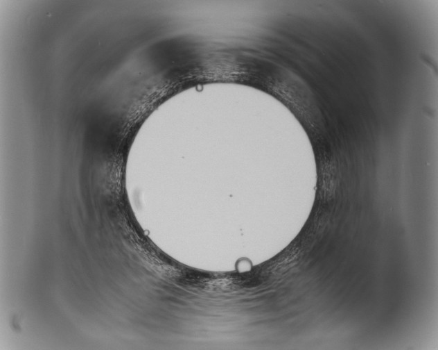 X0000100310309200806261208