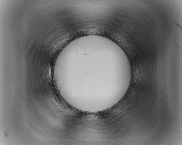 X0000100310310200806261208