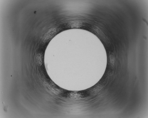 X0000100310311200806261208