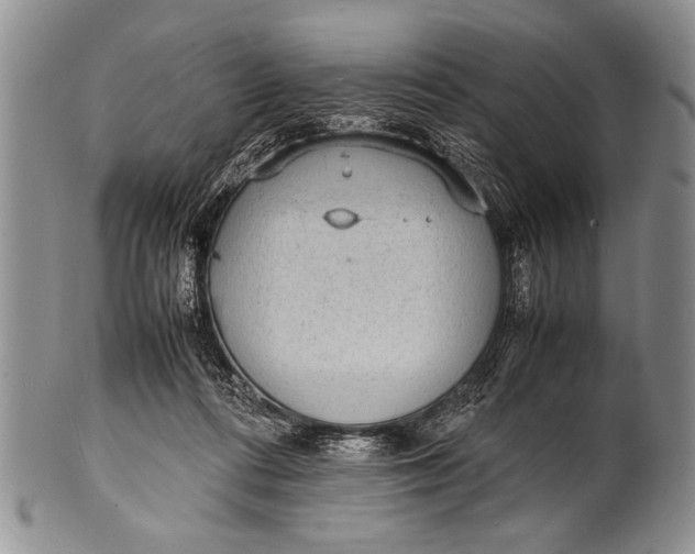 X0000100310312200806261208