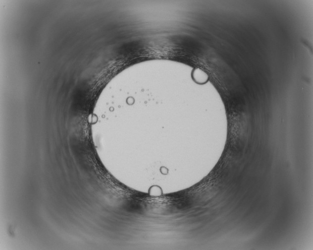 X0000100310313200806261208