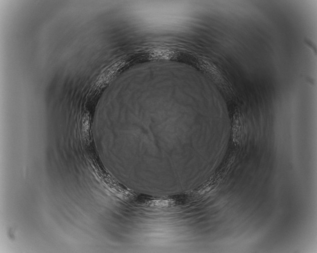 X0000100310314200806261208