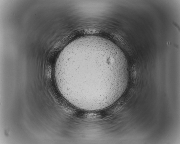 X0000100310315200806261208