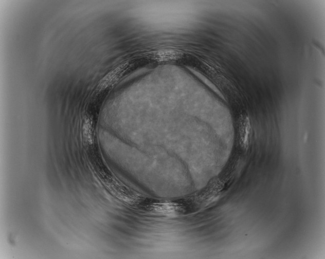 X0000100310316200806261208