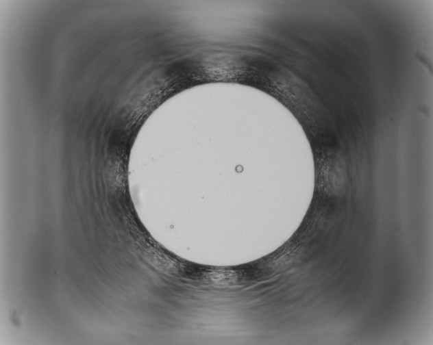 X0000100310317200806261208