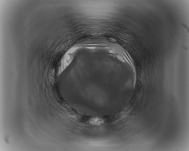 X0000100310319200806261208