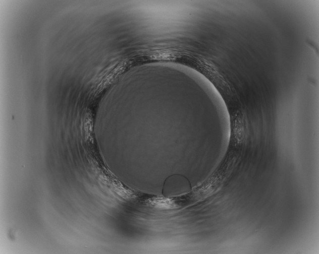 X0000100310322200806261208