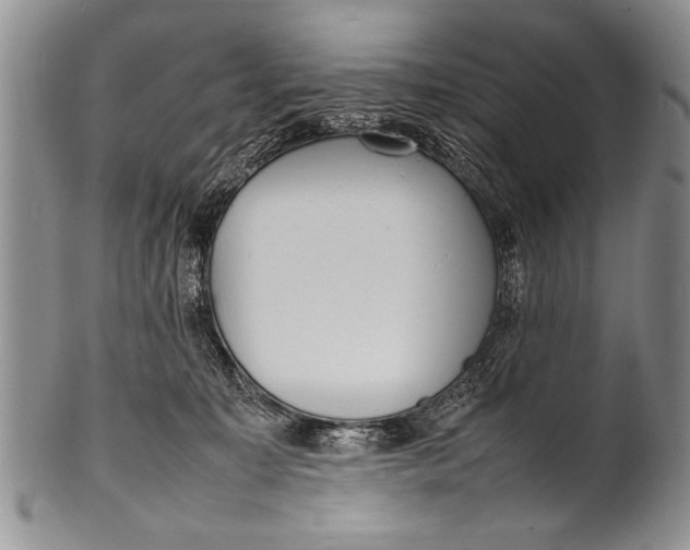 X0000100310323200806261208