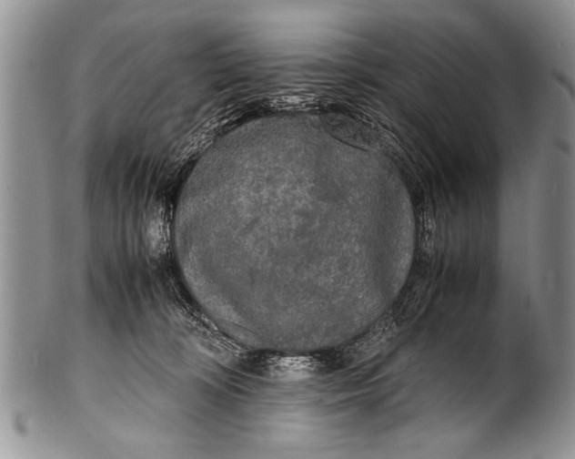 X0000100310324200806261208