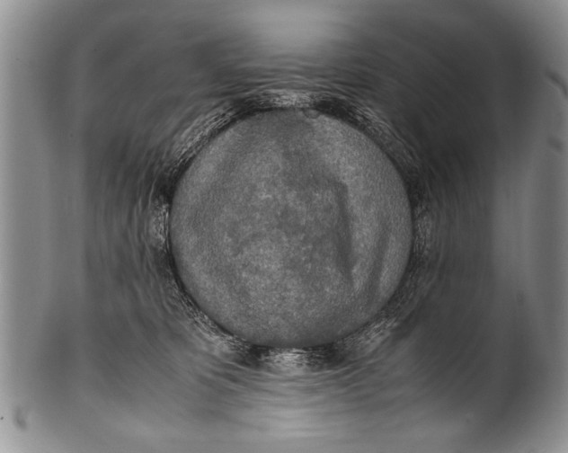 X0000100310325200806261208