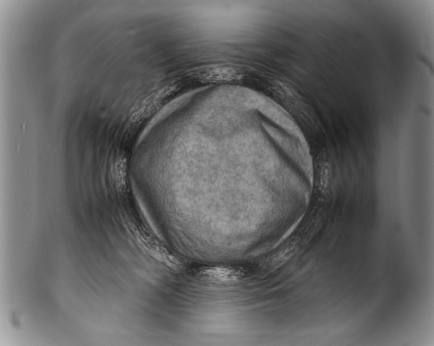 X0000100310326200806261208