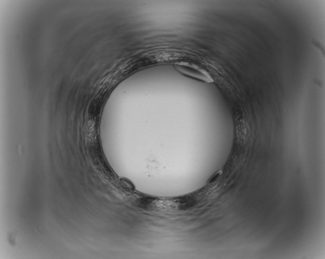 X0000100310327200806261208