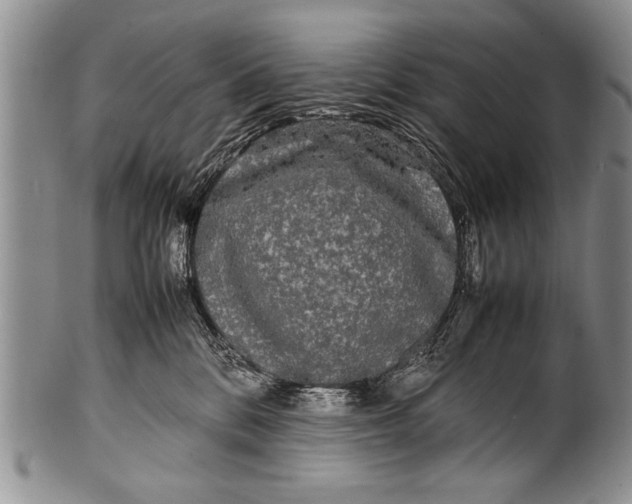 X0000100310328200806261208