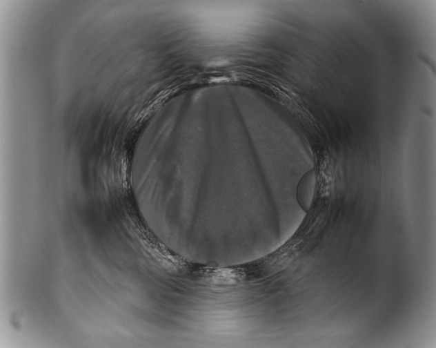 X0000100310330200806261208