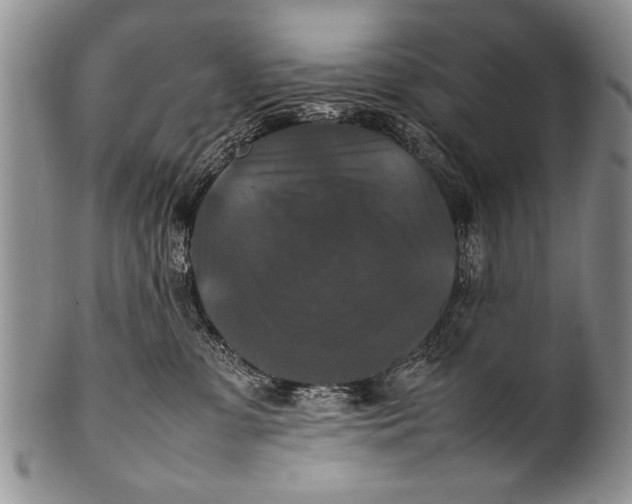 X0000100310331200806261208