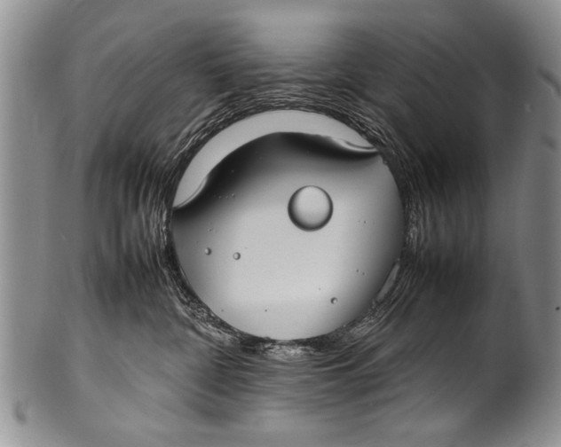 X0000100310332200806261208