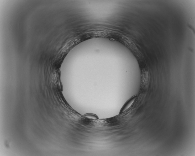 X0000100310333200806261208