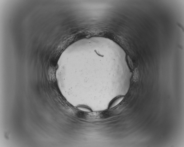 X0000100310335200806261208