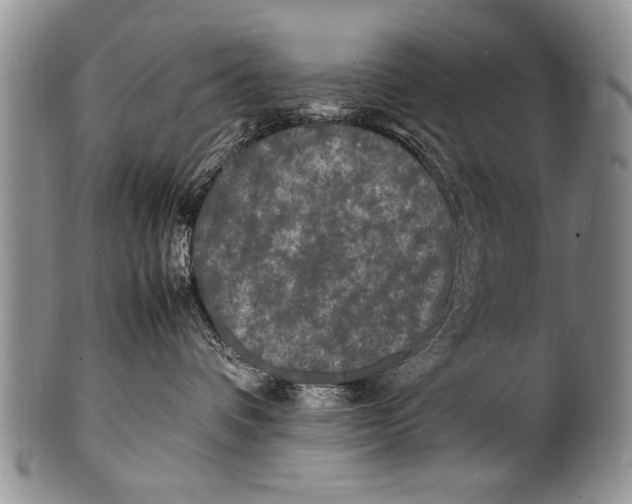 X0000100310336200806261208