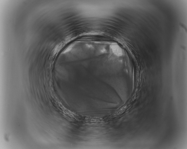 X0000100310337200806261207