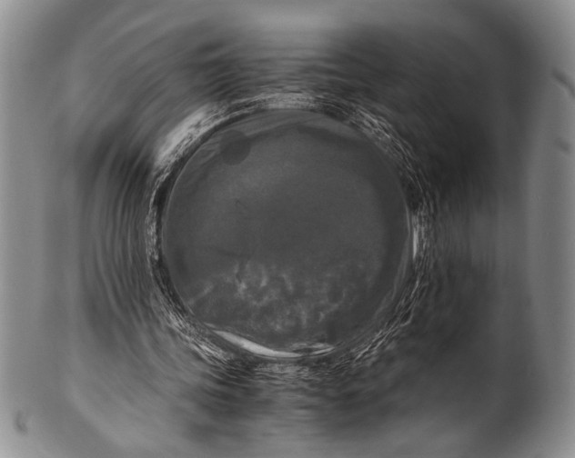 X0000100310339200806261207