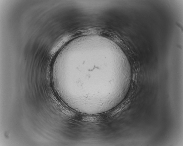 X0000100310341200806261207