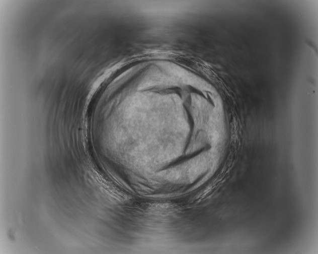 X0000100310342200806261207