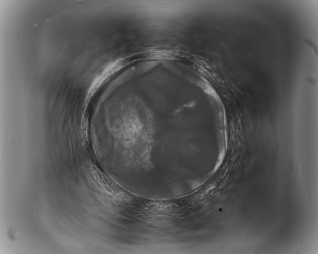 X0000100310343200806261207