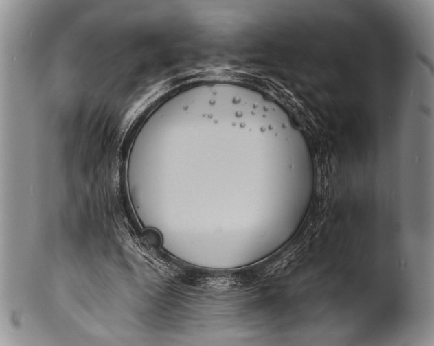 X0000100310344200806261207