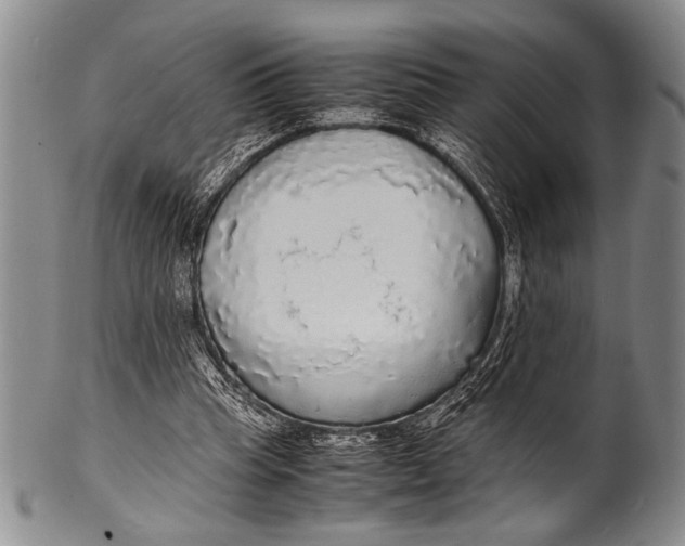 X0000100310345200806261207