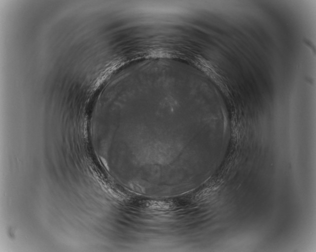 X0000100310347200806261207