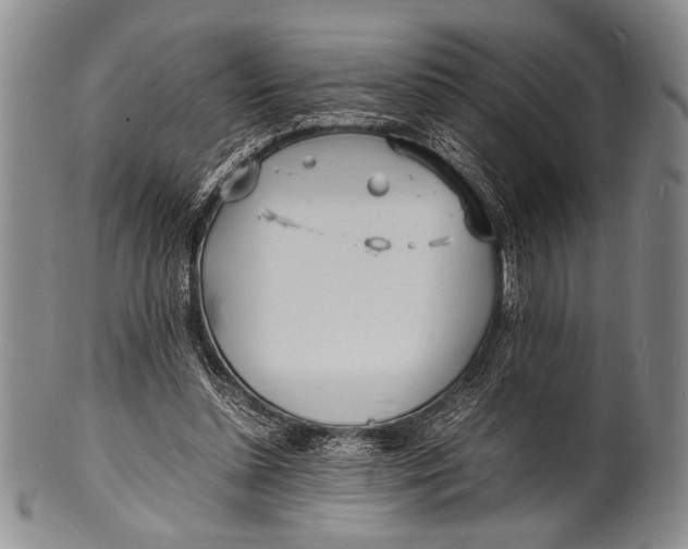 X0000100310348200806261207