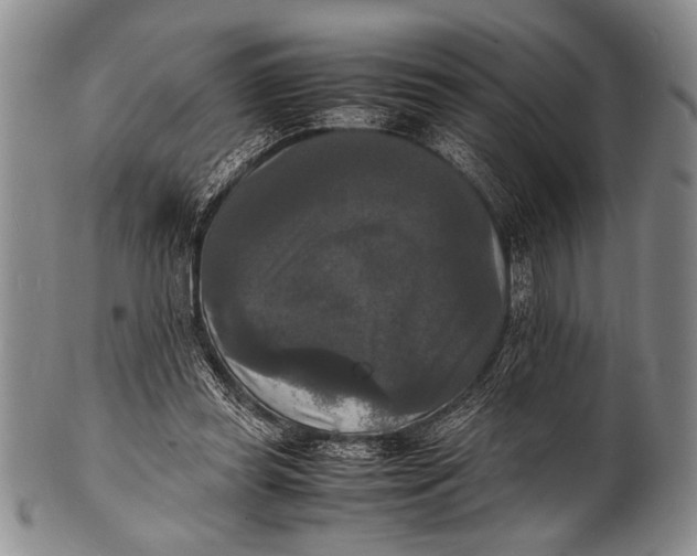 X0000100310349200806261207