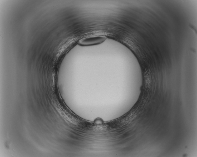 X0000100310350200806261207