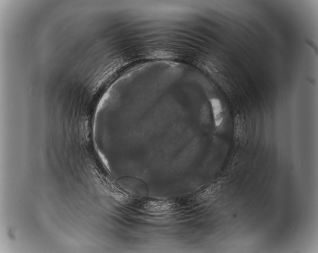 X0000100310351200806261207