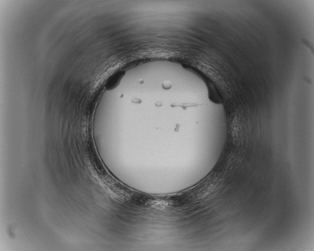 X0000100310352200806261207