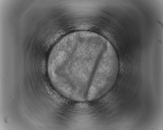 X0000100310354200806261207